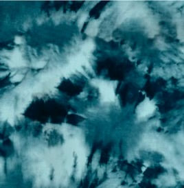 WILD CHILD Short Sleeve/Short Pant Set - Cozeezz