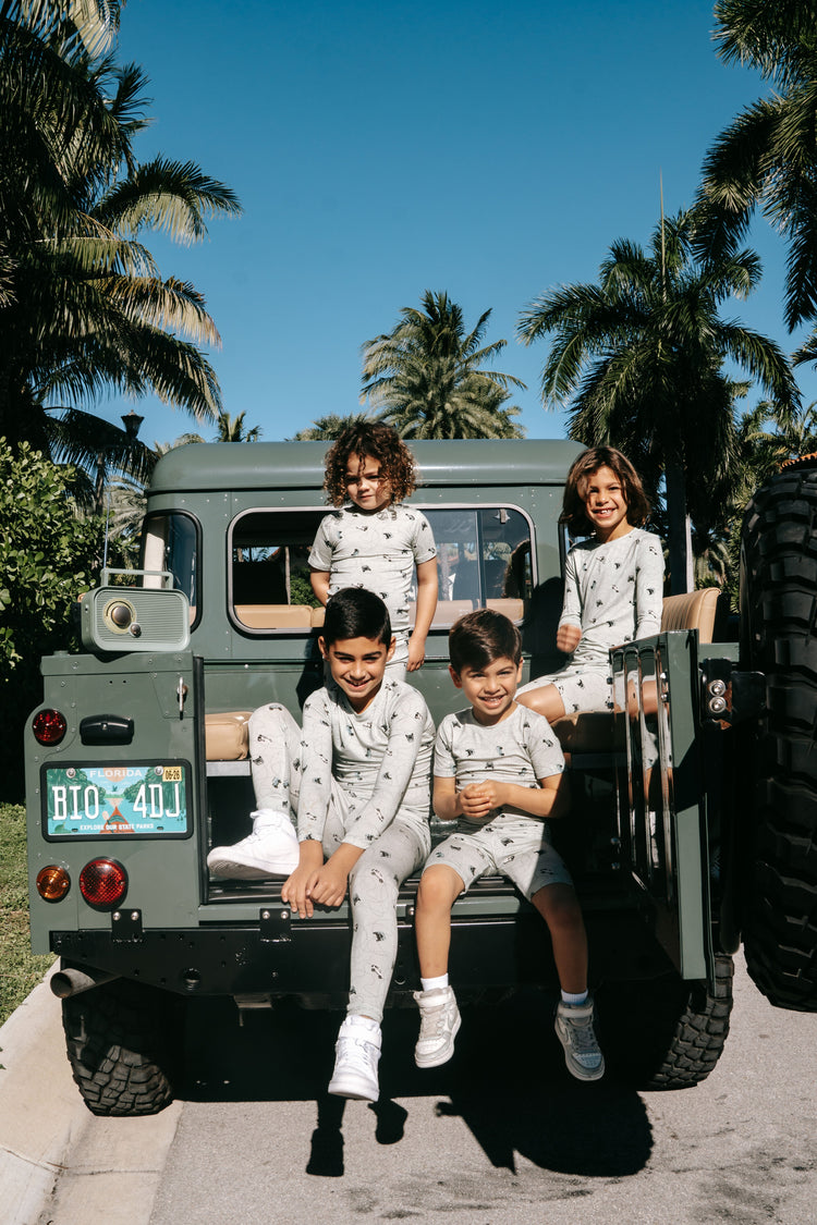Off Road Print