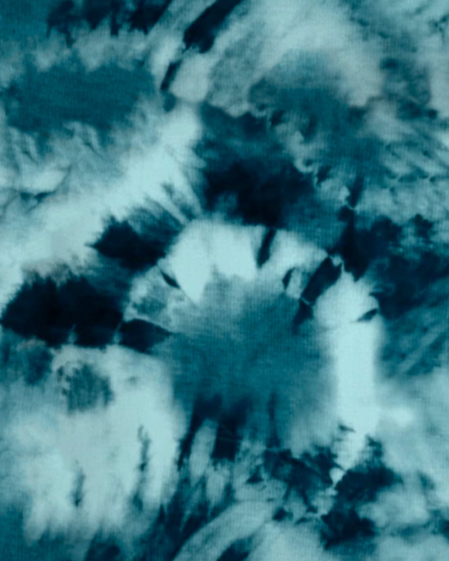 WILD CHILD Short Sleeve + Short Pant Set - Cozeezz